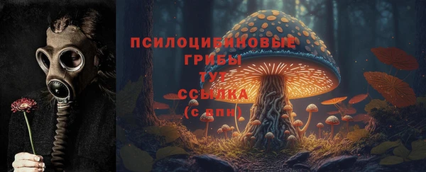 мдма Заволжск
