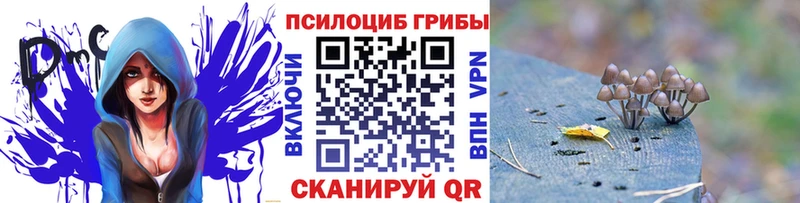 omg как войти  Саяногорск  Галлюциногенные грибы Psilocybine cubensis 
