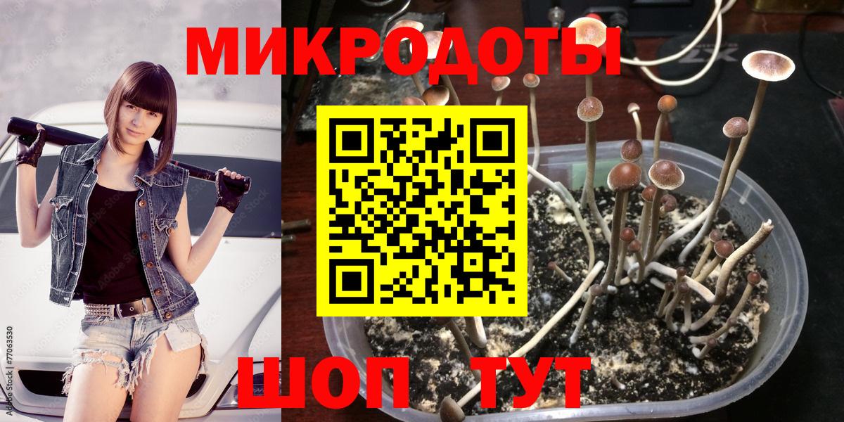 цена   Вход с VPN  Саяногорск  Псилоцибиновые грибы Cubensis 