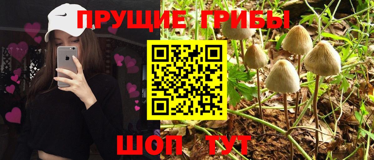 Псилоцибиновые грибы ЛСД Саяногорск